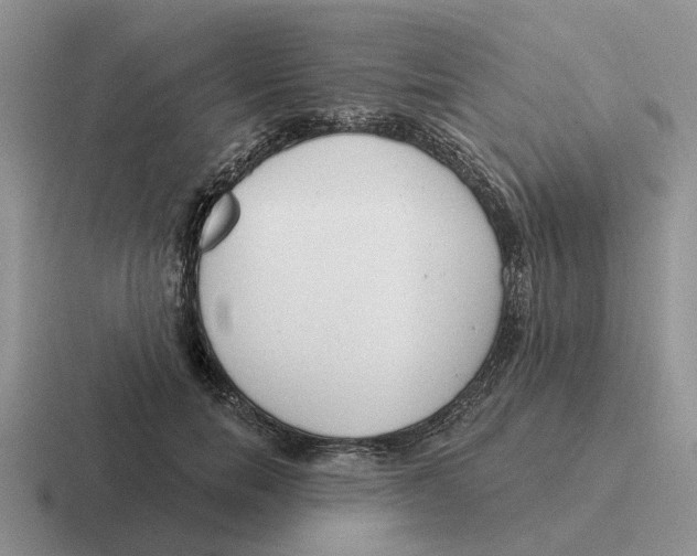 X0000116670750201001041129