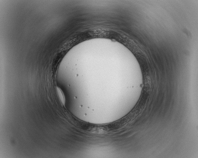 X0000116670751201001041129