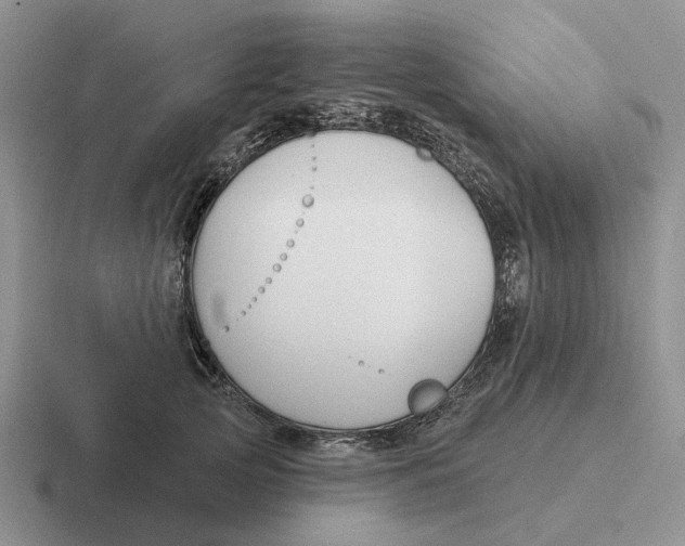 X0000116670753201001041129