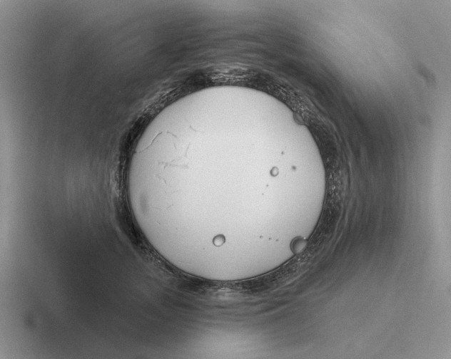 X0000116670755201001041129