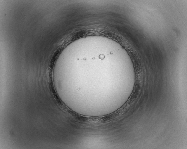 X0000116670757201001041129