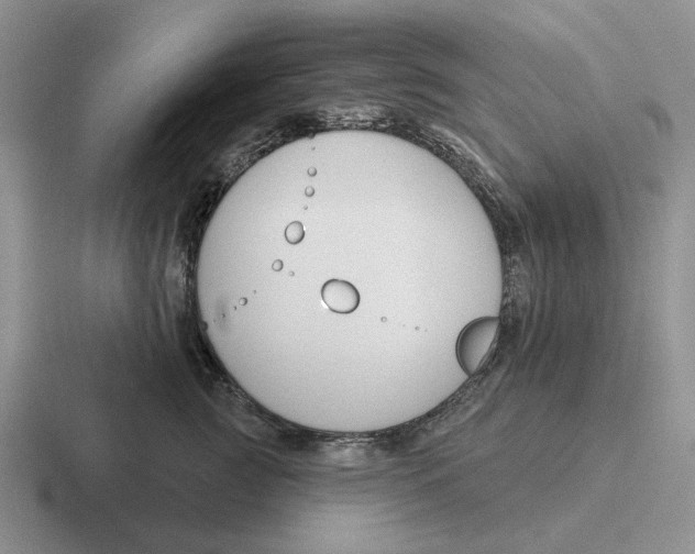 X0000116670761201001041129