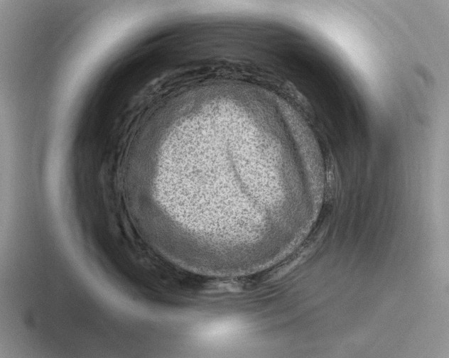 X0000116670765201001041129