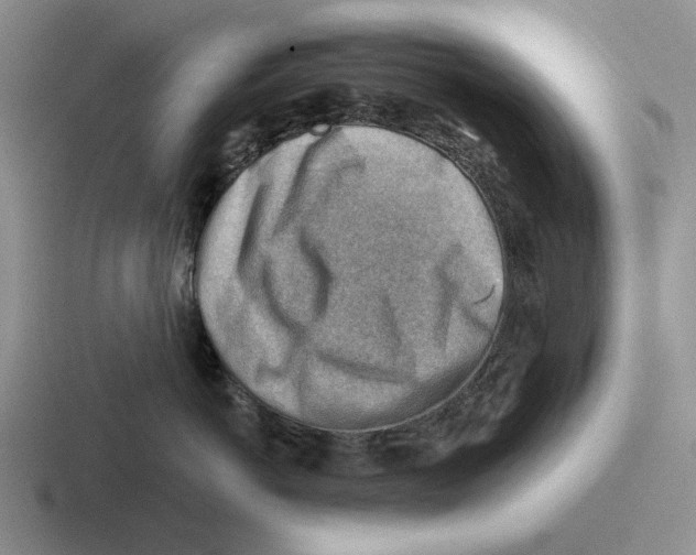 X0000116670766201001041129