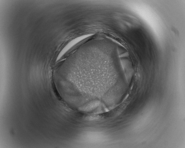 X0000116670767201001041129