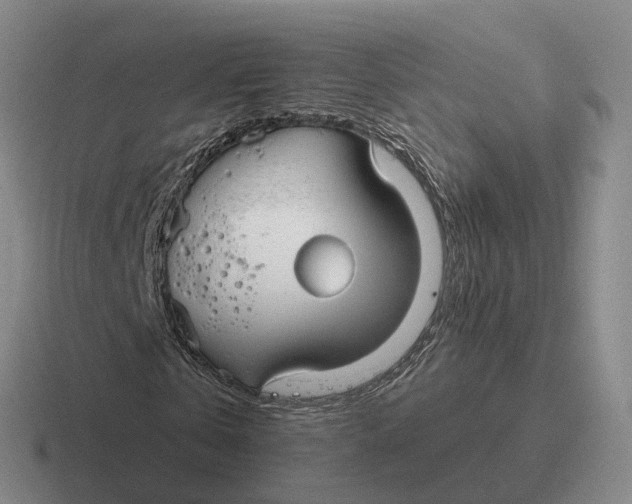 X0000116670769201001041129