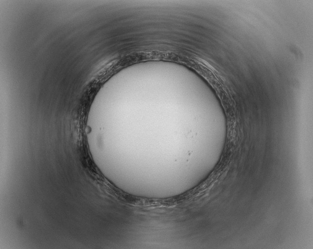 X0000116670774201001041128