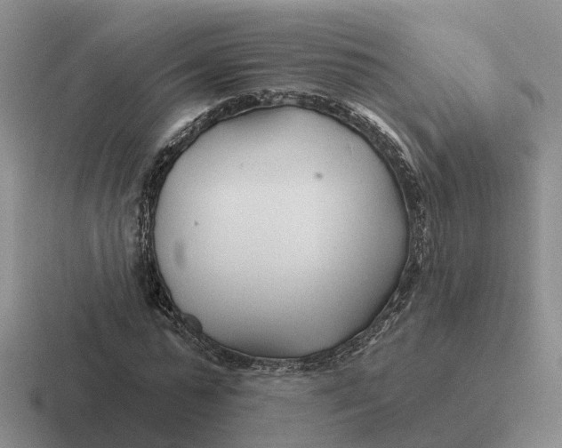 X0000116670775201001041128