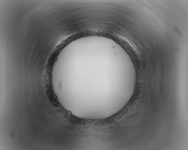 X0000116670776201001041128