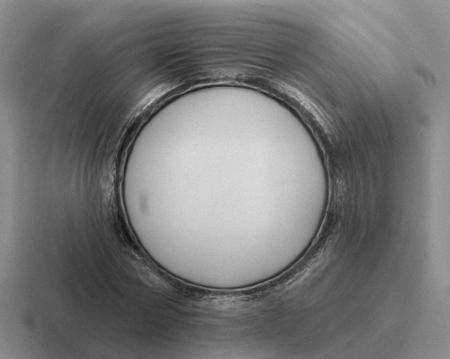 X0000116670778201001041128