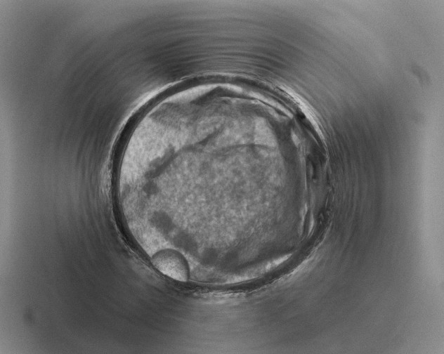 X0000116670779201001041128