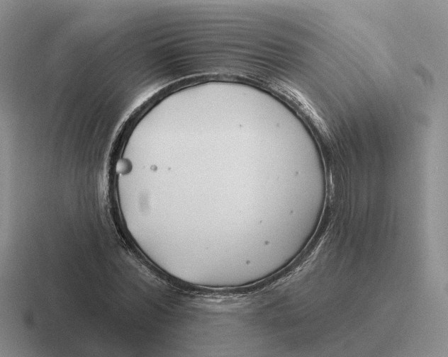 X0000116670780201001041128