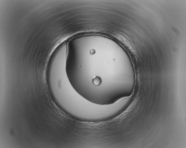 X0000116670781201001041128