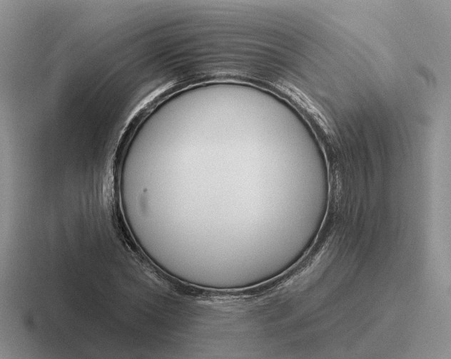 X0000116670782201001041128