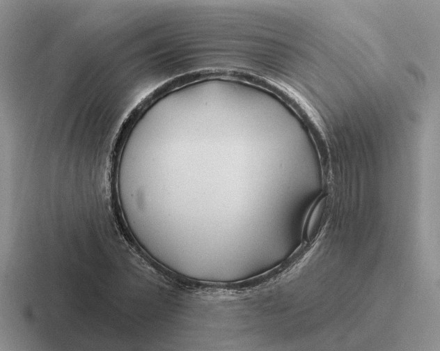 X0000116670783201001041128