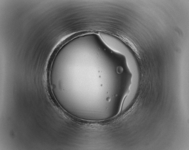 X0000116670784201001041128