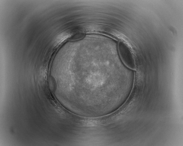 X0000116670785201001041128