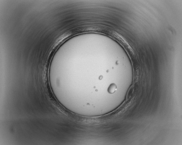 X0000116670786201001041128