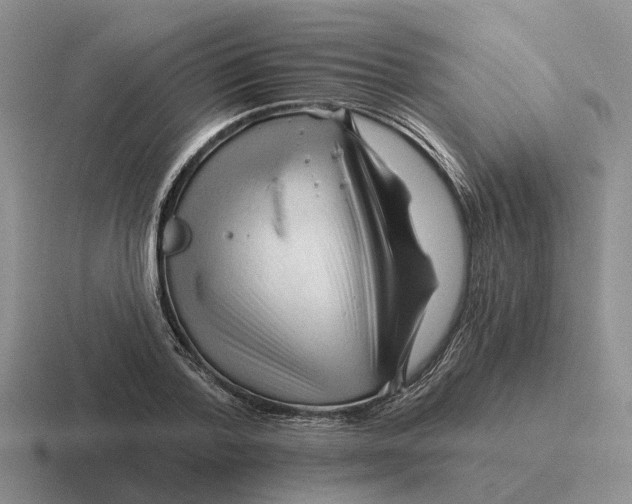 X0000116670788201001041128