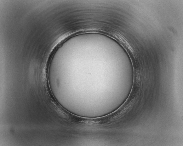 X0000116670789201001041128