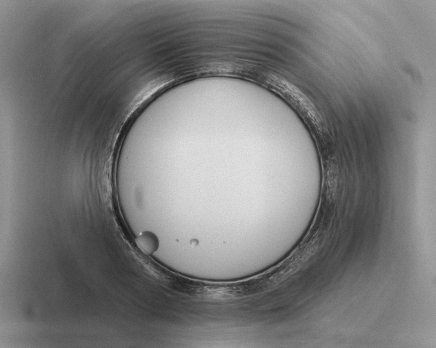 X0000116670794201001041128