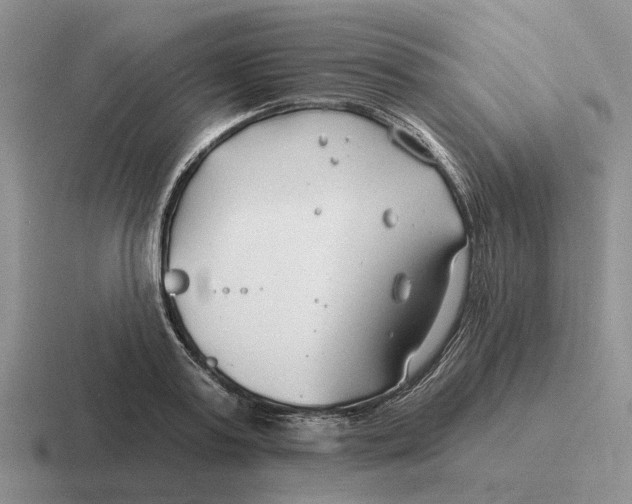 X0000116670795201001041128