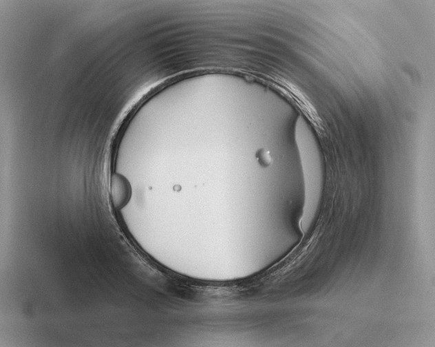 X0000116670796201001041128