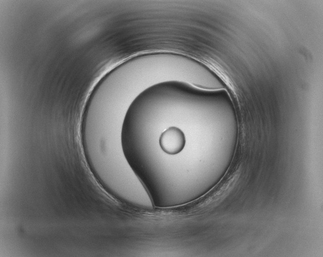 X0000116670797201001041128