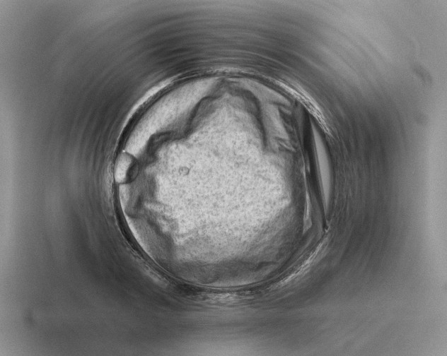 X0000116670798201001041128