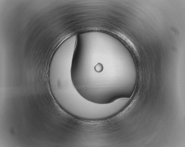 X0000116670801201001041128