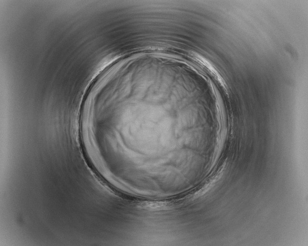 X0000116670802201001041128