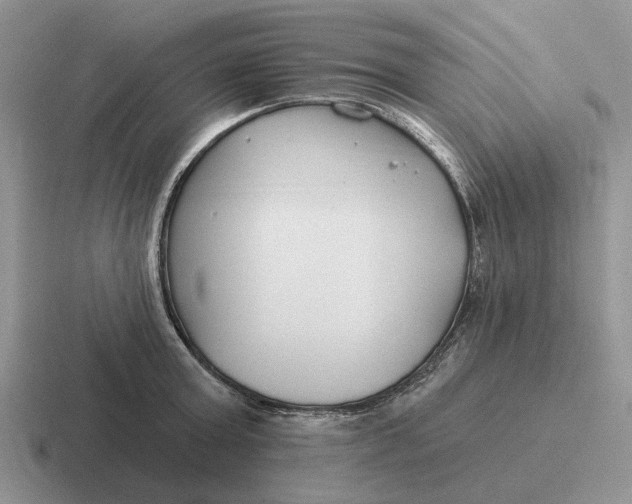 X0000116670803201001041128