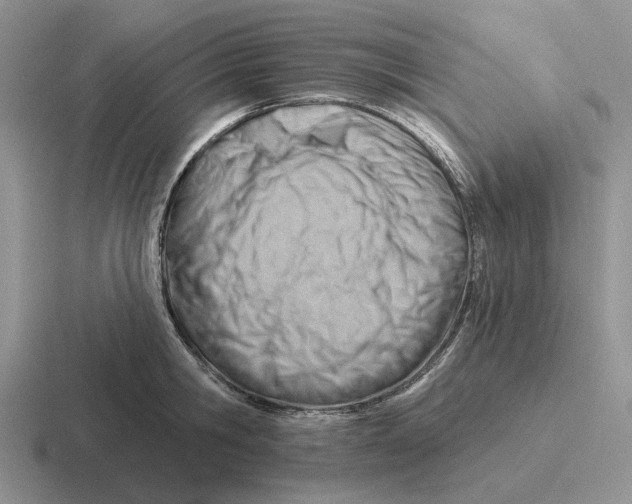 X0000116670806201001041128