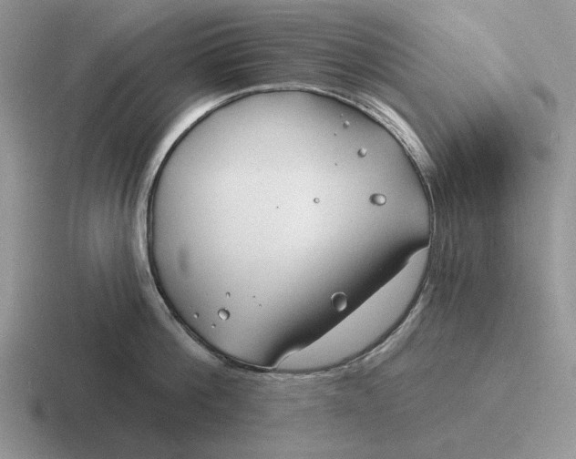 X0000116670812201001041128