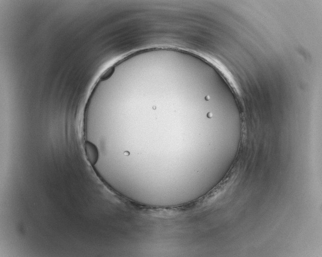 X0000116670815201001041128