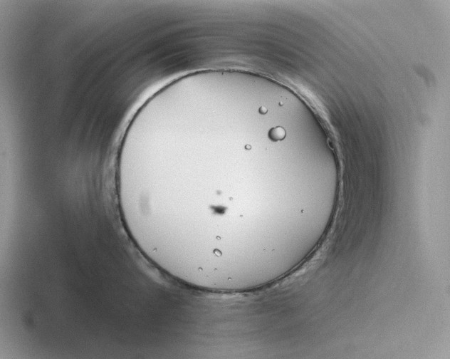 X0000116670816201001041128