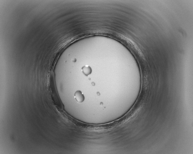 X0000116670833201001041128