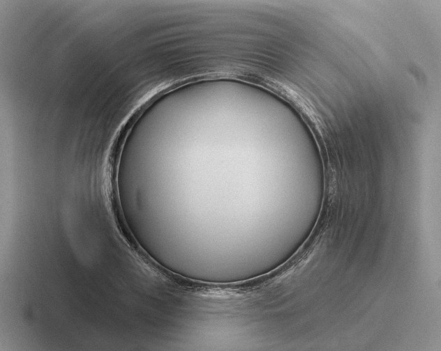 X0000116670835201001041128