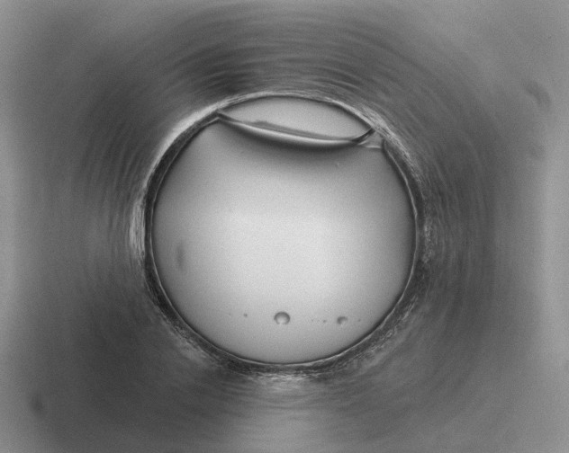 X0000116670838201001041128