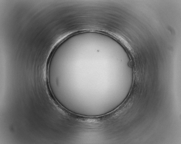 X0000116670839201001041128