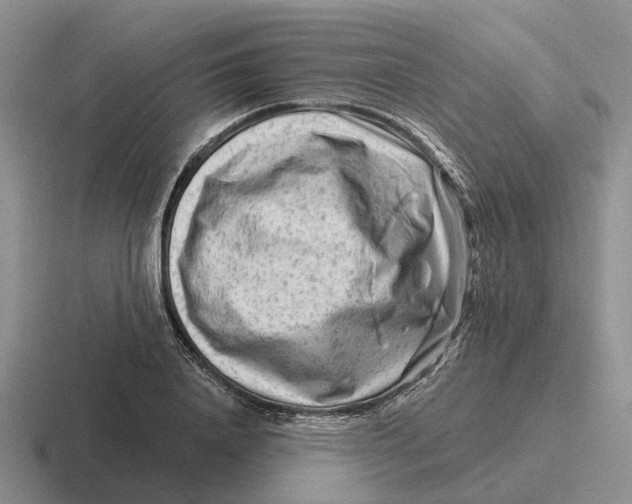 X0000116670840201001041128