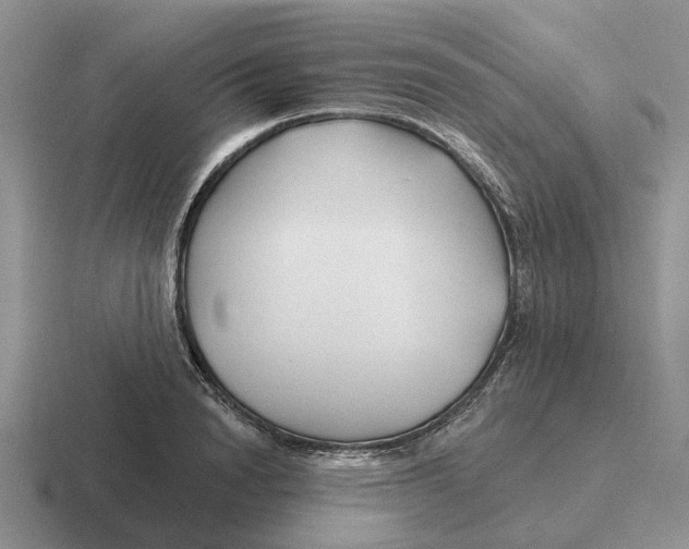 X0000116670846201001041128