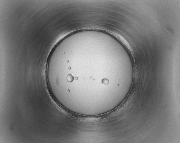 X0000116670847201001041128