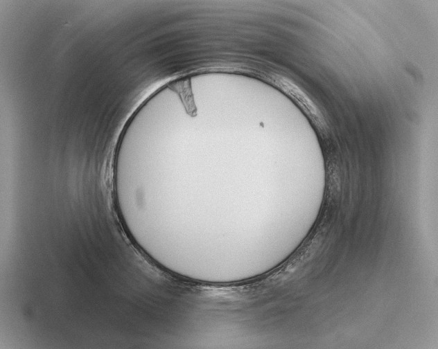 X0000116670852201001041128