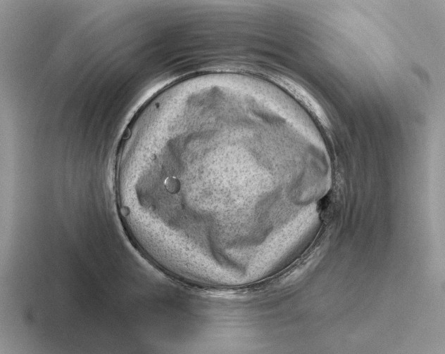 X0000116670855201001041128