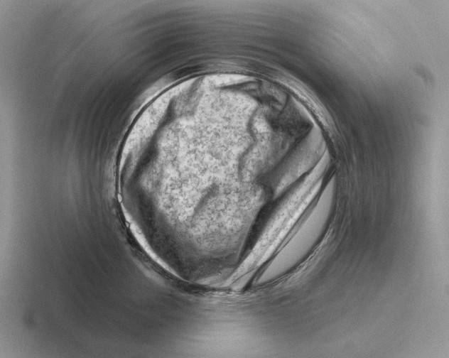 X0000116670858201001041128