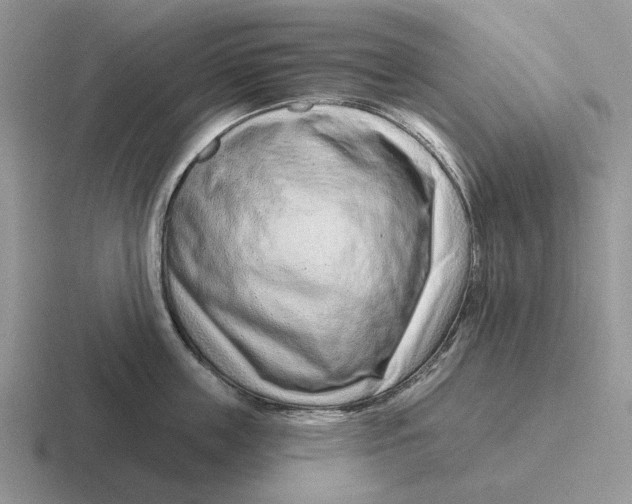 X0000116670859201001041128