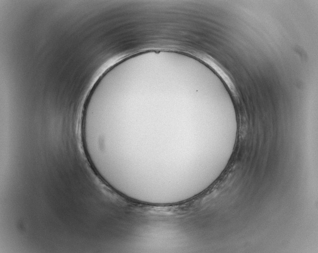 X0000116670861201001041128