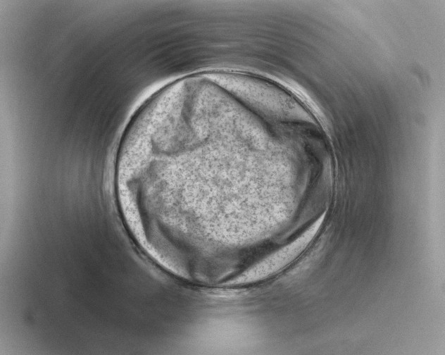 X0000116670862201001041128