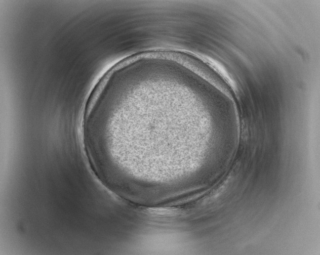 X0000116670863201001041128